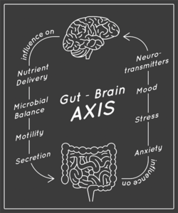 intestinalbacteria-2